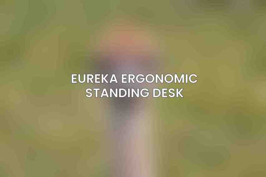 Eureka Ergonomic Standing Desk