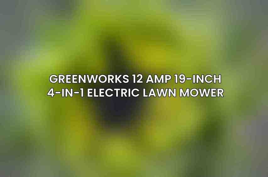 Greenworks 12 Amp 19-Inch 4-in-1 Electric Lawn Mower