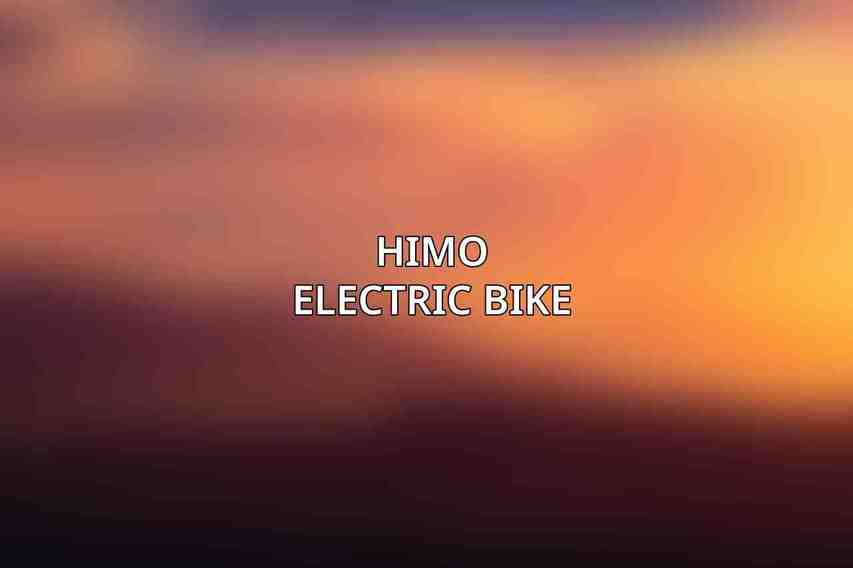 HIMO Electric Bike