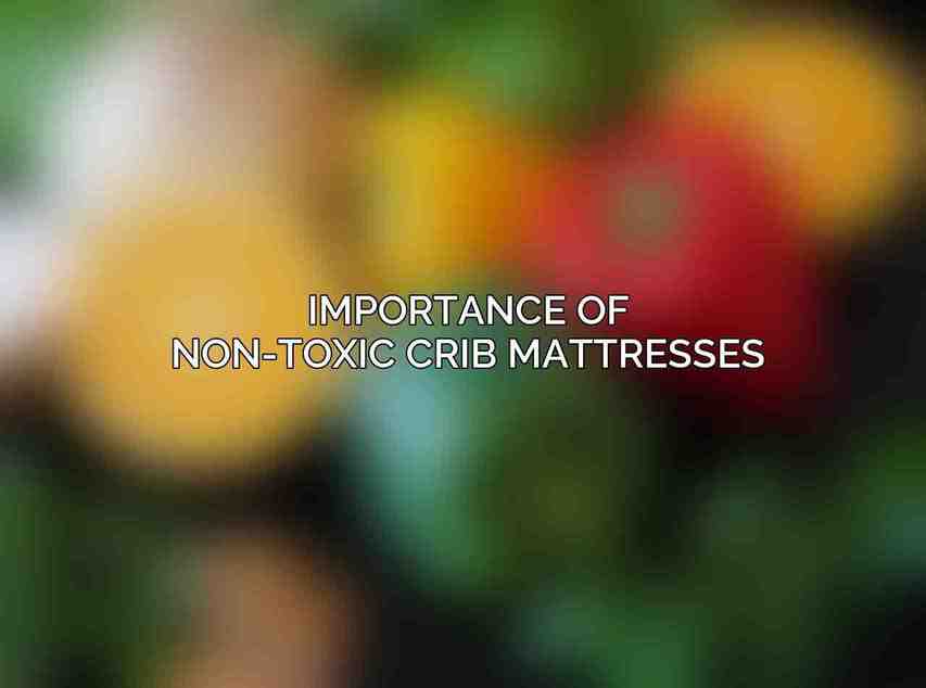 Importance of Non-Toxic Crib Mattresses:
