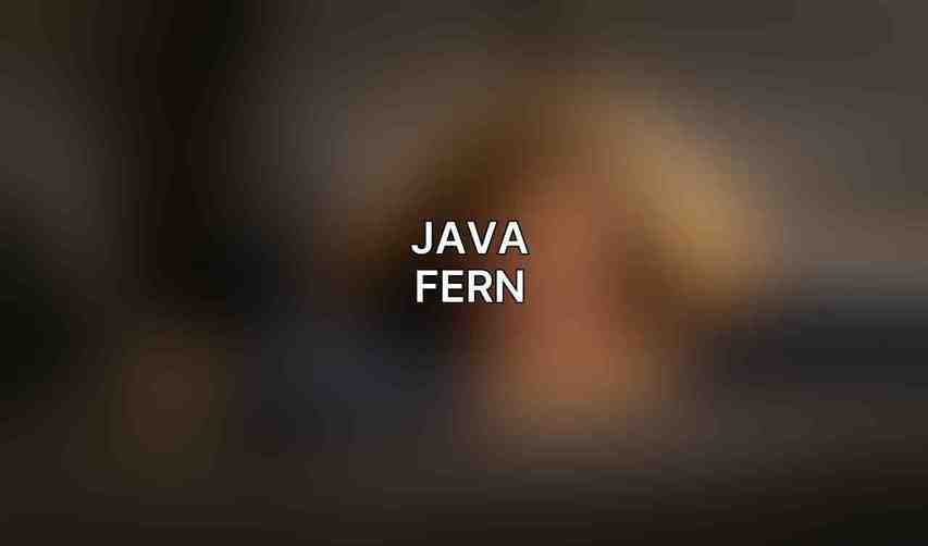 Java Fern