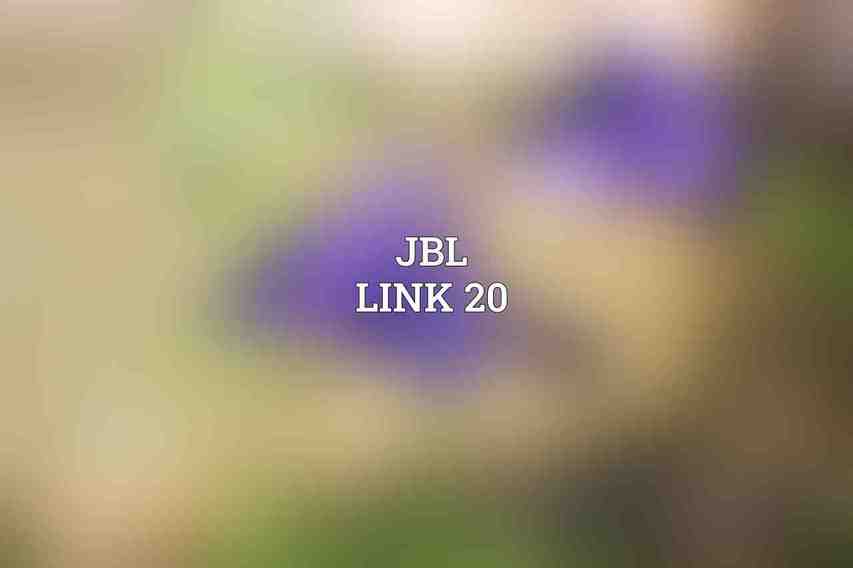 JBL Link 20