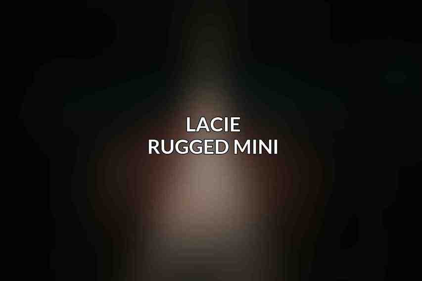 LaCie Rugged Mini