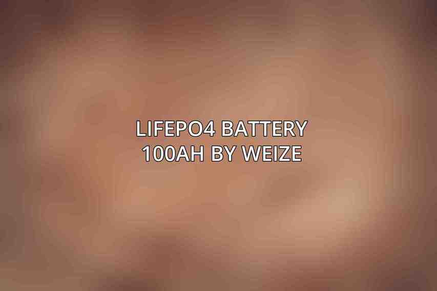 LiFePO4 Battery 100Ah by Weize