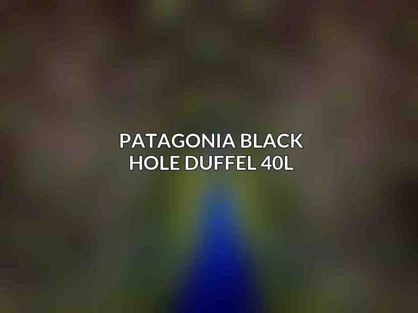 Patagonia Black Hole Duffel 40L