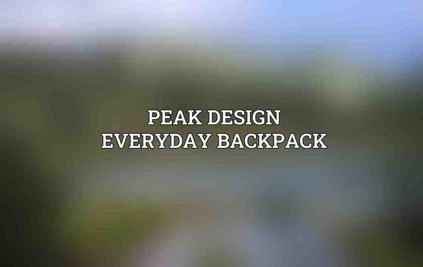 Peak Design Everyday Backpack