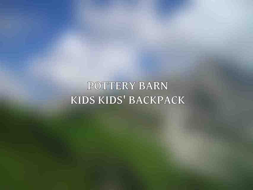 Pottery Barn Kids Kids' Backpack