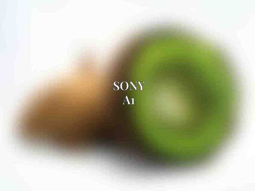 Sony a1