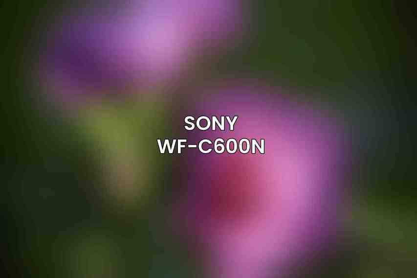 Sony WF-C600N