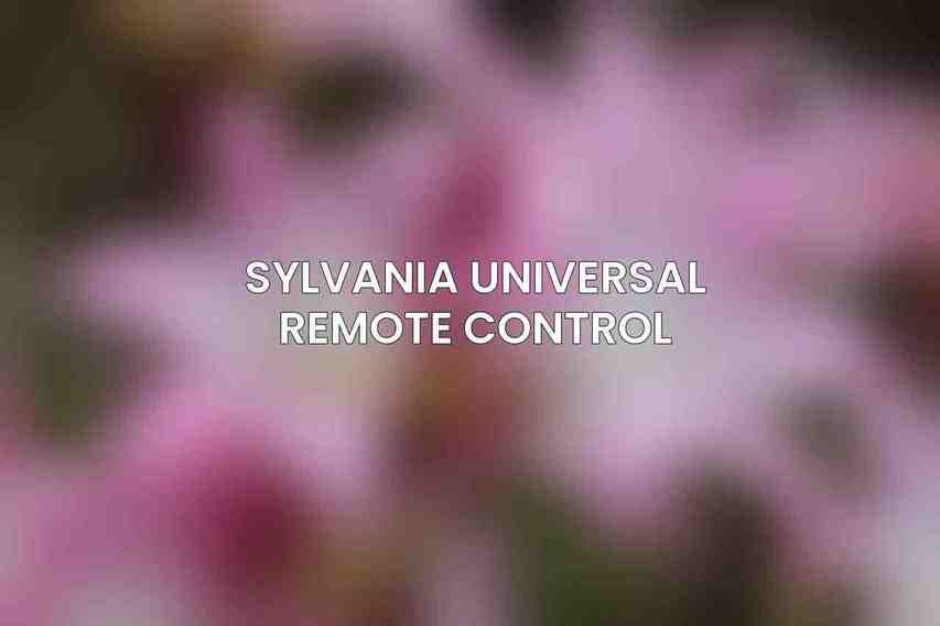 Sylvania Universal Remote Control