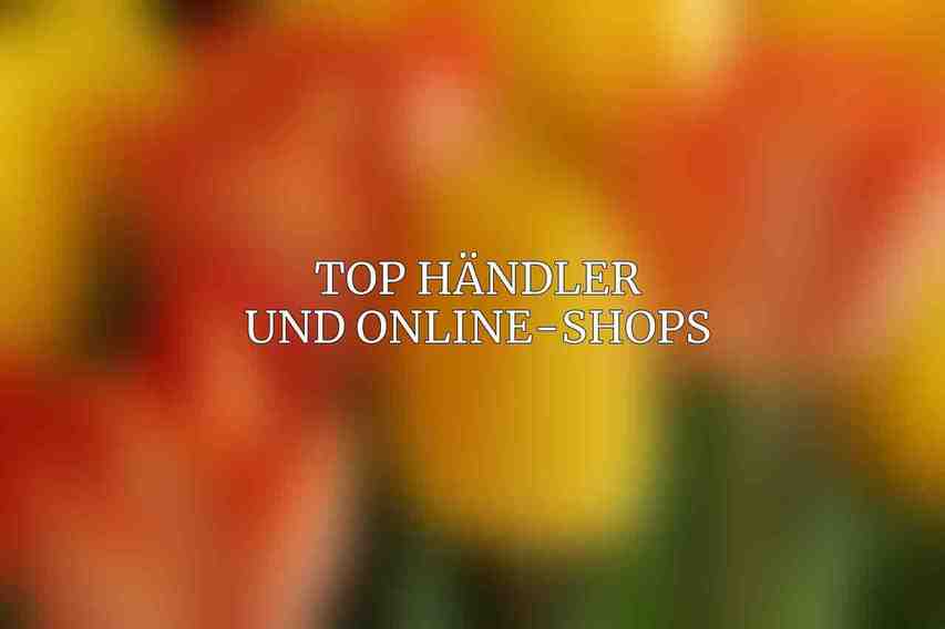 Top Händler und Online-Shops