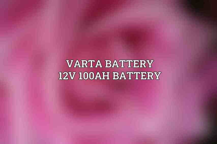 Varta Battery 12V 100Ah Battery