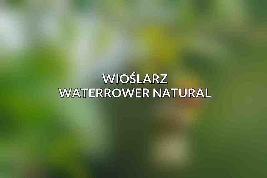 Wioślarz WaterRower Natural