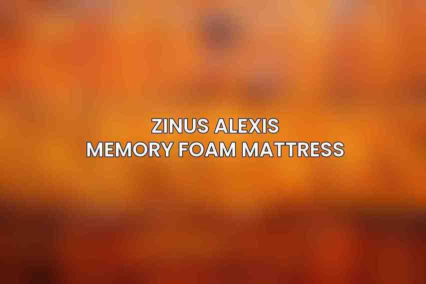 Zinus Alexis Memory Foam Mattress