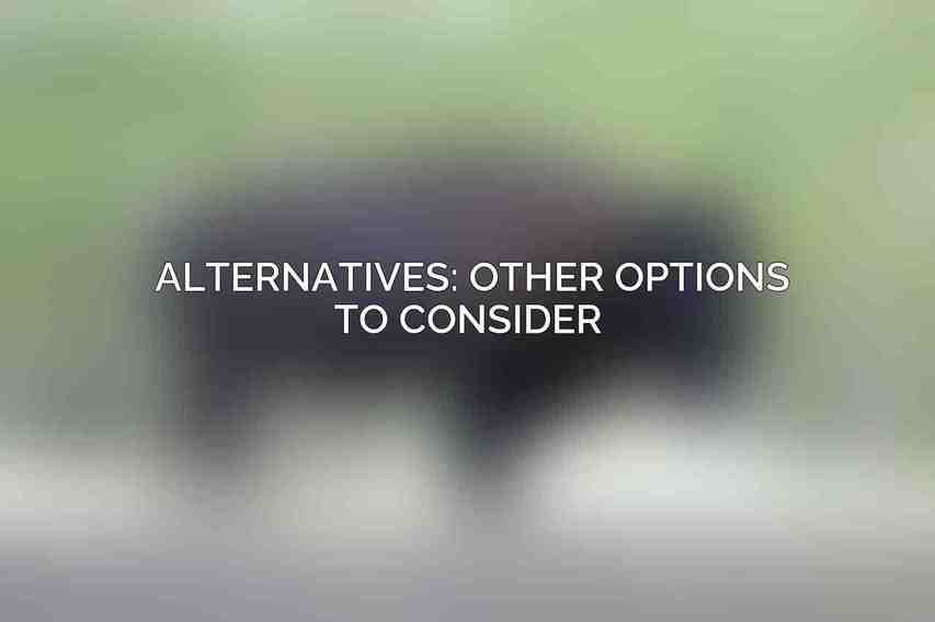 Alternatives: Other Options to Consider 