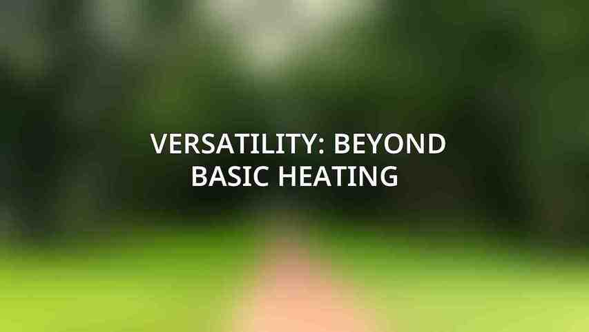 Versatility: Beyond Basic Heating 
